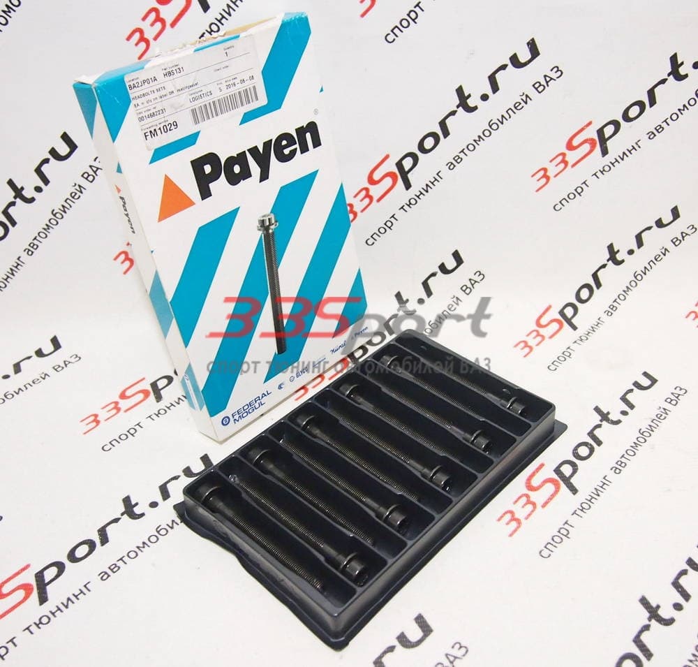 ���� ��� ��� payen ����� �12*1,25*133 (10 ����)